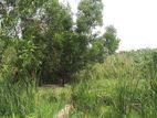 Land for Sale Facing Paddy Field Kottawa