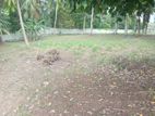 LAND FOR SALE FACING THE BOLGODA RIVER