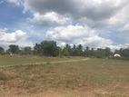 Land for Sale Walathapitty