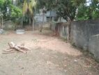 Land for Sale Akkaraippattu