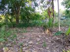 Land for Sale in Sainthamaruthu