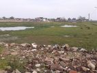 Land for Sale Sainthamaruthu
