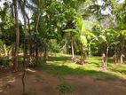 Land For Sale - Anuradhapura