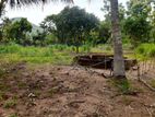 Land For Sale Anuradhapura