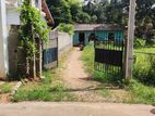 Land for Sale in Anuradhapura