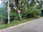 Land for Sale - Anuradhapura