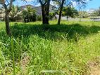 Land for Sale Anuradhapura