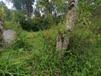 Land for Sale in Bandarawela