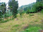 Land for Sale - Badulla