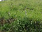 Land for Sale in Welimada