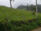 Land for Sale Badulla