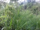 Land for Sale Bandarawela