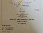 Land for Sale Haldummulla