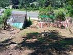 Land for Sale Haldummulla