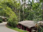 Land for Sale Badulla