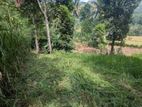Land for Sale Haliela