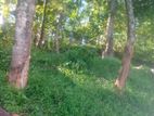 Land for Sale in Welimada