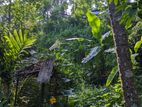 Land For Sale Badulla