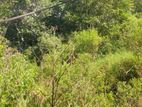 Land for Sale Diyatalawa