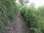 Land for Sale Diyatalawa