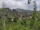 Land for Sale Ella