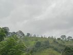 Land for sale