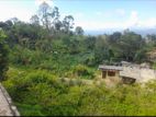 Land for Sale - Beragala