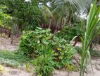 Land for Sale in Batticaloa