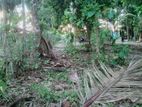 Land for Sale- Batticaloa