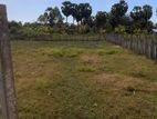 Land for Sale Batticaloa