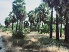 Land for Sale Batticaloa