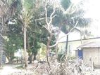 Land For Sale Valaichenai