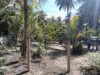 Land for Sale in Kaluwanchikudy