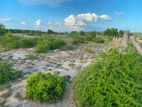 Land for Sale Batticaola