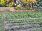 Land for Sale Chenkalady