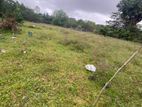 Land for Sale Nawaladi