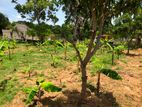 Land for Sale Batticaloa
