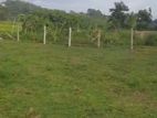 Land for Sale Kiriwatthuduwa