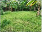 Land for Sale Kosgama