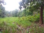 Land for Sale Matale