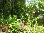 Land for Sale Warakapola