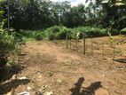 Land for Sale Padukka