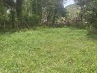 Land for Sale Piliyandala