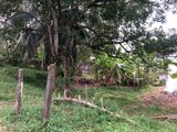 Land for Sale Homagama