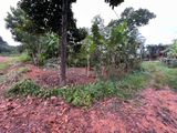 Land for Sale Polgasowita