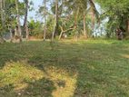Land for Sale Panagoda