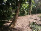 Land for Sale Meegoda