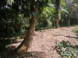 Land for Sale Meegoda
