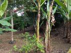 Land for Sale Hokandara