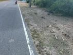 Land for Sale Pasikuda
